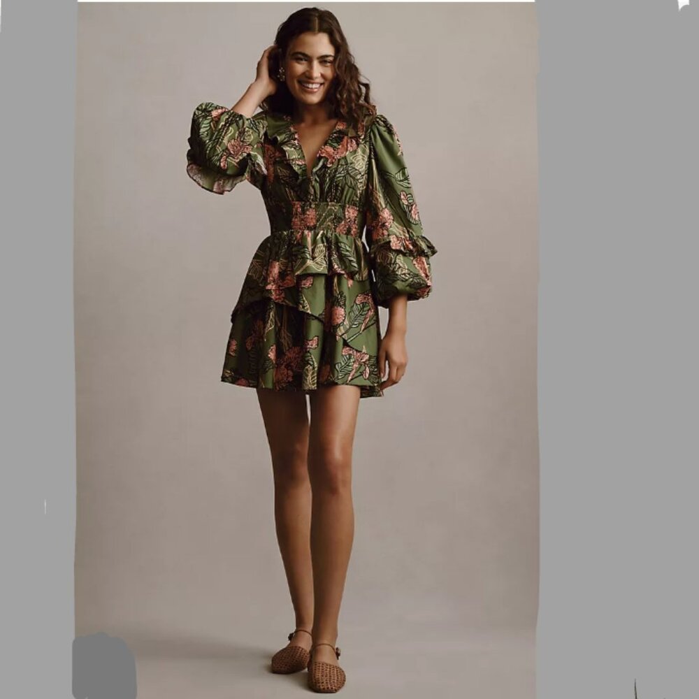 Brand New Hutch Long-Sleeve V-Neck Ruffle Mini Dress